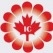 موسسه ایران کانادا
